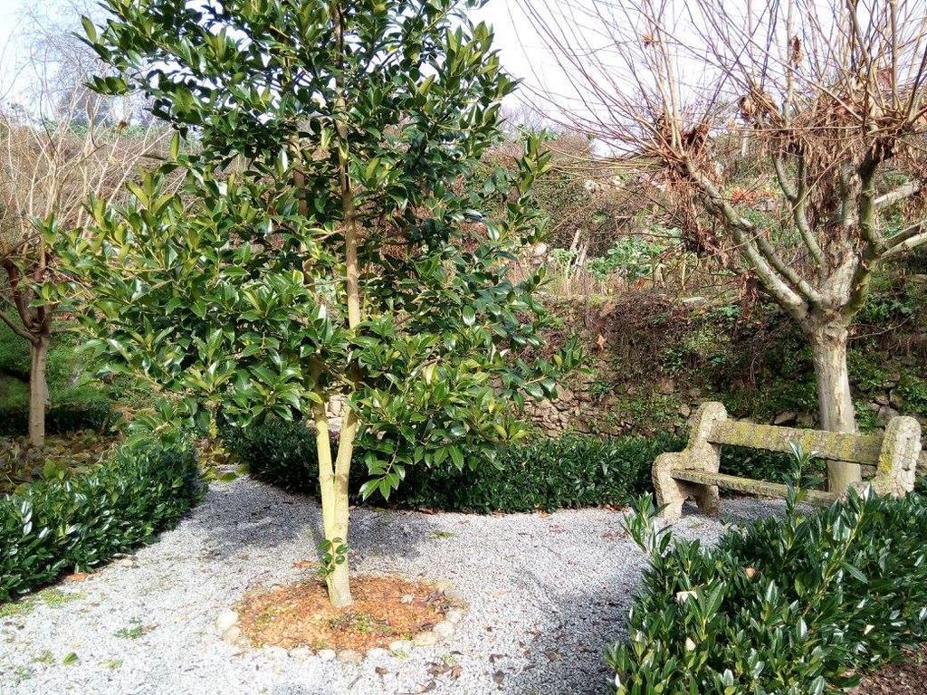 Casa Do Terrenho Villa ภายนอก รูปภาพ
